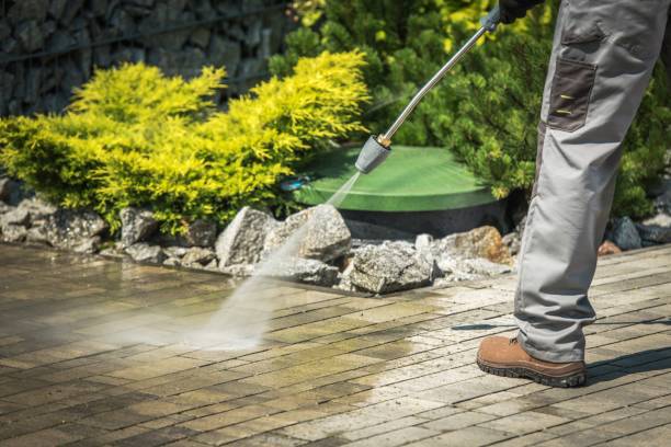 Professional Pressure Washing in Teviston, CA